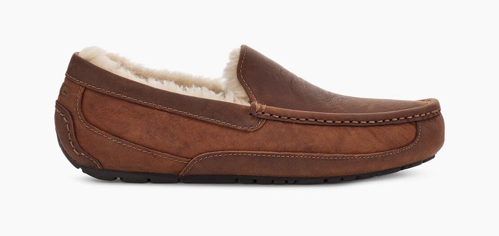 Ugg Slippers Canada - Ugg Men's Ascot Chocolate